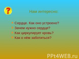 Нам интересно: Сердце. Как оно устроено?Зачем нужно сердце?Как циркулирует кровь