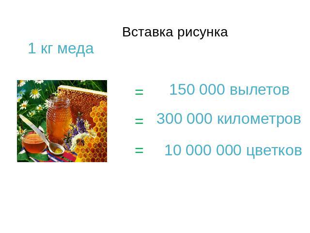 1 кг меда 150 000 вылетов 300 000 километров 10 000 000 цветков