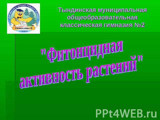 Тындинская муниципальная общеобразовательная классическая гимназия №2 