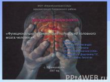 Функциональная асимметрия полушарий головного мозга человека