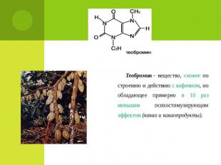 Теобромин - вещество, схожее по строению и действию с кофеином, но обладающее пр