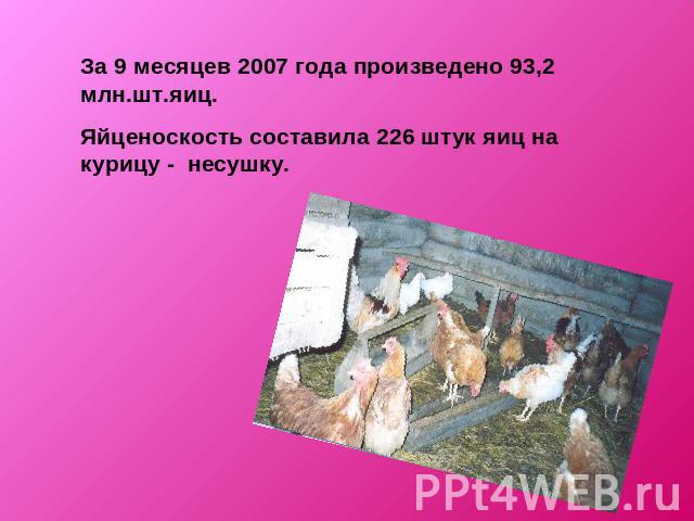 За 9 месяцев 2007 года произведено 93,2 млн.шт.яиц.Яйценоскость составила 226 штук яиц на курицу - несушку.