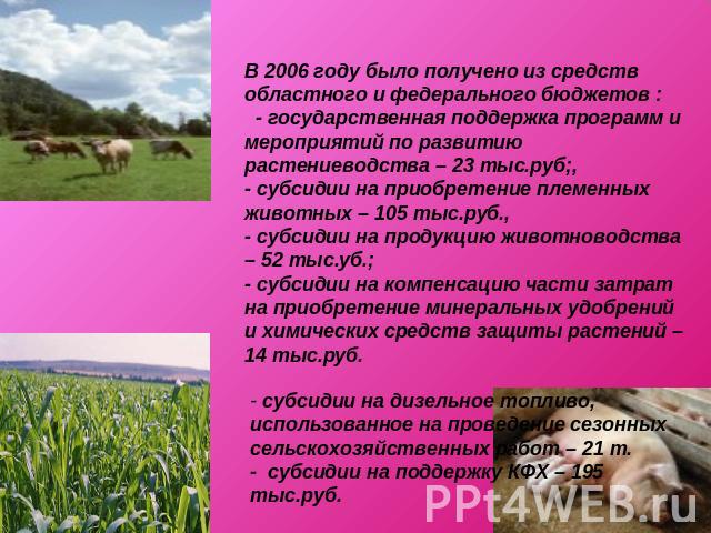 В 2006 году было получено из средств областного и федерального бюджетов : - государственная поддержка программ и мероприятий по развитию растениеводства – 23 тыс.руб;,- субсидии на приобретение племенных животных – 105 тыс.руб.,- субсидии на продукц…