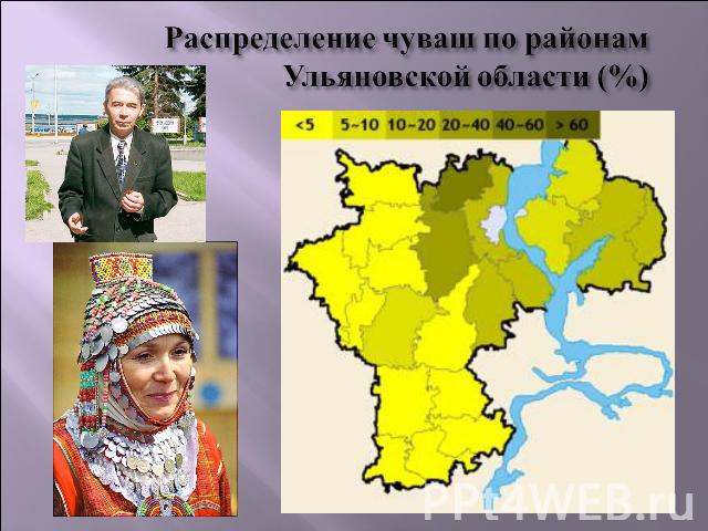 Распределение чуваш по районам Ульяновской области (%)