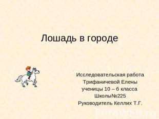 Лошадь в городе Исследовательская работаТрифаничевой Еленыученицы 10 – б класса