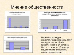 Мнение общественности Мною был проведён социологический опрос на тему лошадь в г