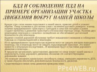 БДД и соблюдение ПДД на примере организации участка движения вокруг нашей школы