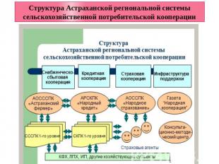 Структура Астраханской региональной системы сельскохозяйственной потребительской