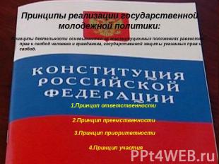 Принципы реализации государственной молодежной политики: Принципы деятельности о