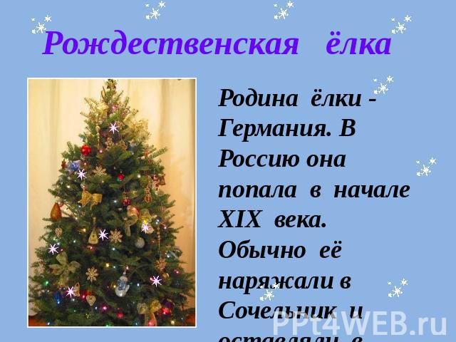 Рождественская ёлкаРодина ёлки - Германия. В Россию она попала в начале XIX века. Обычно её наряжали в Сочельник и оставляли в течение всех Святок.