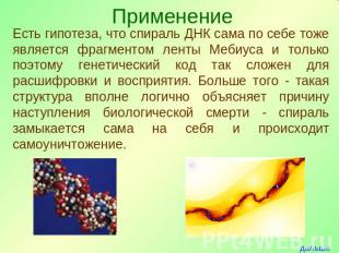 Есть гипотеза, что спираль ДНК сама по себе тоже является фрагментом ленты Мебиу