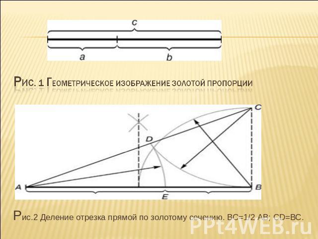 РИС. 1 Геометрическое изображение золотой пропорции Рис.2 Деление отрезка прямой по золотому сечению. ВС=1/2 АВ; CD=ВС.