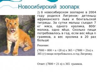 Новосибирский зоопарк 2) В новосибирском зоопарке в 2004 году родился Лигренок-
