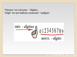 "Палец" по-латыни - "digitus. "Digit" по-английски означает "цифра".