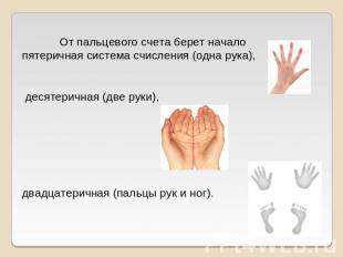 От пальцевого счета берет начало пятеричная система счисления (одна рука), десят