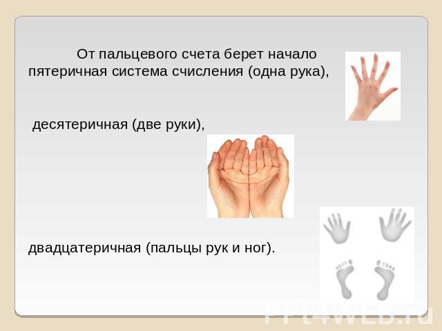 От пальцевого счета берет начало пятеричная система счисления (одна рука), десятеричная (две руки), двадцатеричная (пальцы рук и ног).