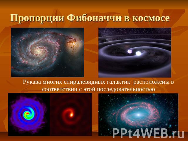 Пропорции Фибоначчи в космосе Рукава многих спиралевидных галактик расположены в соответствии с этой последовательностью