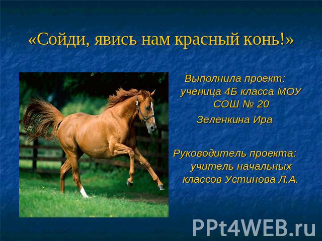 «Сойди, явись нам красный конь!» Выполнила проект: ученица 4Б класса МОУ СОШ № 20Зеленкина Ира Руководитель проекта: учитель начальных классов Устинова Л.А.