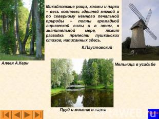 Михайловские рощи, холмы и парки – весь комплекс здешней мягкой и по северному н