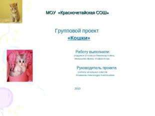 МОУ «Красночетайская СОШ» Групповой проект «Кошки» Работу выполнили: учащиеся 3А