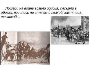 Лошади на войне возили орудия, служили в обозах, носились по степям с легкой, ка