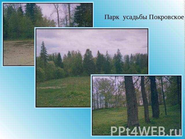 Парк усадьбы Покровское