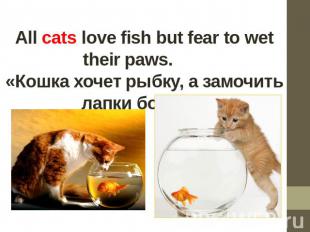 All cats love fish but fear to wet their paws.       «Кошка хочет рыбку, а замоч