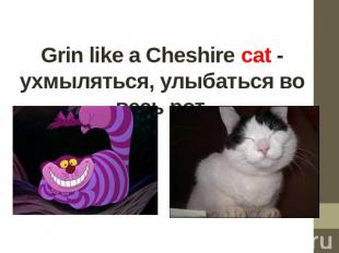 Grin like a Cheshire cat - ухмыляться, улыбаться во весь рот.