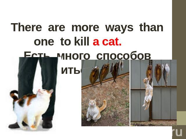 Тhere are more ways than one to kill a cat.       Есть много способов добиться своего.