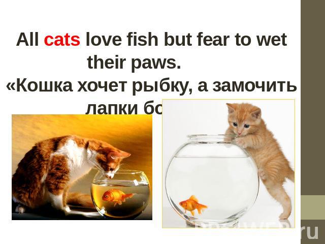 All cats love fish but fear to wet their paws.       «Кошка хочет рыбку, а замочить лапки боится»