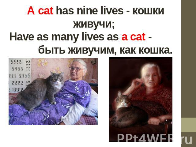 A cat has nine lives - кошки живучи; Have as many lives as a cat - быть живучим, как кошка.