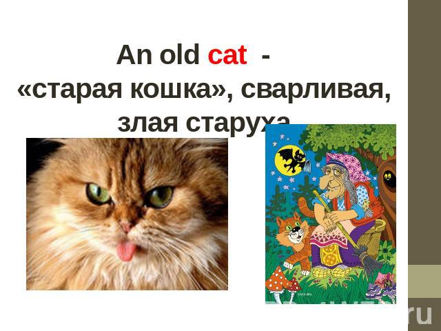 Аn old cat  -   «старая кошка», сварливая, злая старуха