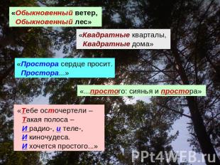 «Обыкновенный ветер, Обыкновенный лес» «Квадратные кварталы, Квадратные дома» «П