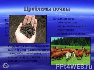 Проблемы почвы Засоление почв (возникает при поливном земледелии избыточного оро