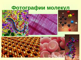 Фотографии молекул