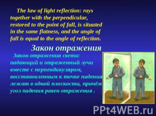 The law of light reflection: rays together with the perpendicular, restored to t