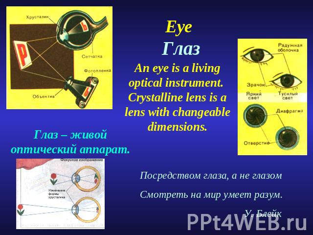 Eye Глаз An eye is a living optical instrument. Crystalline lens is a lens with changeable dimensions.Глаз – живой оптический аппарат.Посредством глаза, а не глазомСмотреть на мир умеет разум. У. Блейк