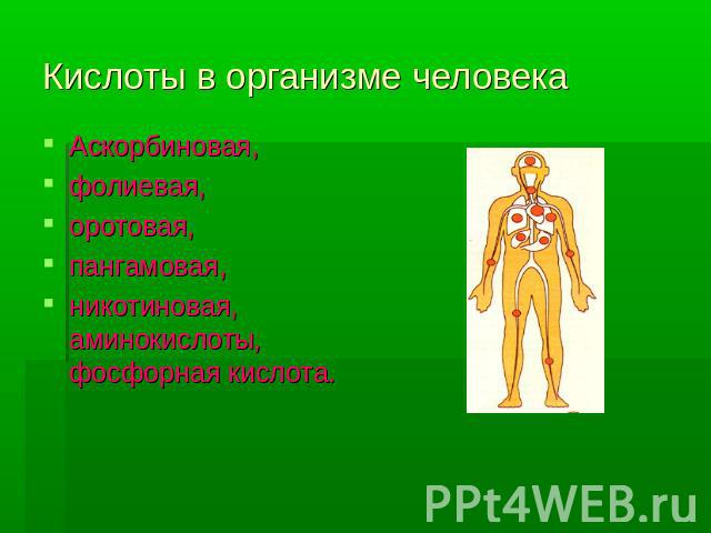 Кислоты в организме человека Аскорбиновая, фолиевая, оротовая, пангамовая, никотиновая, аминокислоты, фосфорная кислота.