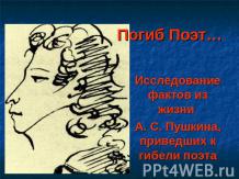 Исследование фактов из жизни А. С. Пушкина, приведших к гибели поэта