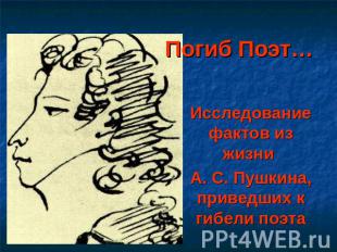 Погиб Поэт… Исследование фактов из жизни А. С. Пушкина, приведших к гибели поэта