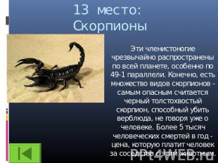 13 место:Скорпионы Эти членистоногие чрезвычайно распространены по всей планете,