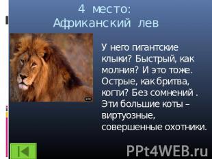 4 место:Африканский лев У него гигантские клыки? Быстрый, как молния? И это тоже
