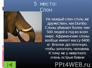 5 место:Слон Не каждый слон столь же дружествен, как Dumbo. Слоны убивают более