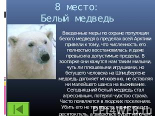 8 место:Белый медведь Введенные меры по охране популяции белого медведя в предел
