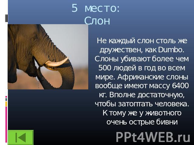 5 место:Слон Не каждый слон столь же дружествен, как Dumbo. Слоны убивают более чем 500 людей в год во всем мире. Африканские слоны вообще имеют массу 6400 кг. Вполне достаточную, чтобы затоптать человека. К тому же у животного очень острые бивни
