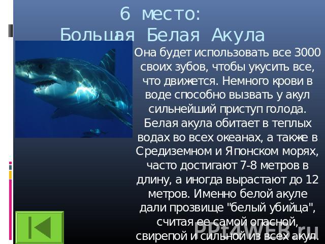 6 место: Большая Белая Акула Она будет использовать все 3000 своих зубов, чтобы укусить все, что движется. Немного крови в воде способно вызвать у акул сильнейший приступ голода. Белая акула обитает в теплых водах во всех океанах, а также в Средизем…