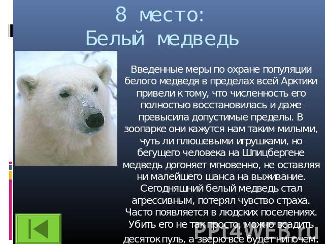 8 место:Белый медведь Введенные меры по охране популяции белого медведя в пределах всей Арктики привели к тому, что численность его полностью восстановилась и даже превысила допустимые пределы. В зоопарке они кажутся нам таким милыми, чуть ли плюшев…