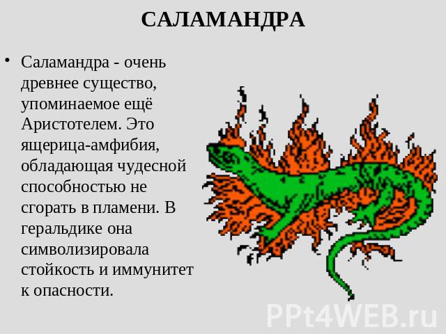 САЛАМАНДРА Саламандра - очень древнее существо, упоминаемое ещё Аристотелем. Это ящерица-амфибия, обладающая чудесной способностью не сгорать в пламени. В геральдике она символизировала стойкость и иммунитет к опасности.