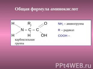 Общая формула аминокислот H R1 ONH2 – аминогруппаN – C – CR – радикалH H OHCOOH