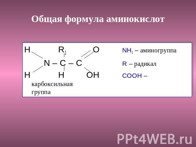 Общая формула аминокислот H R1 ONH2 – аминогруппаN – C – CR – радикалH H OHCOOH – карбоксильная группа